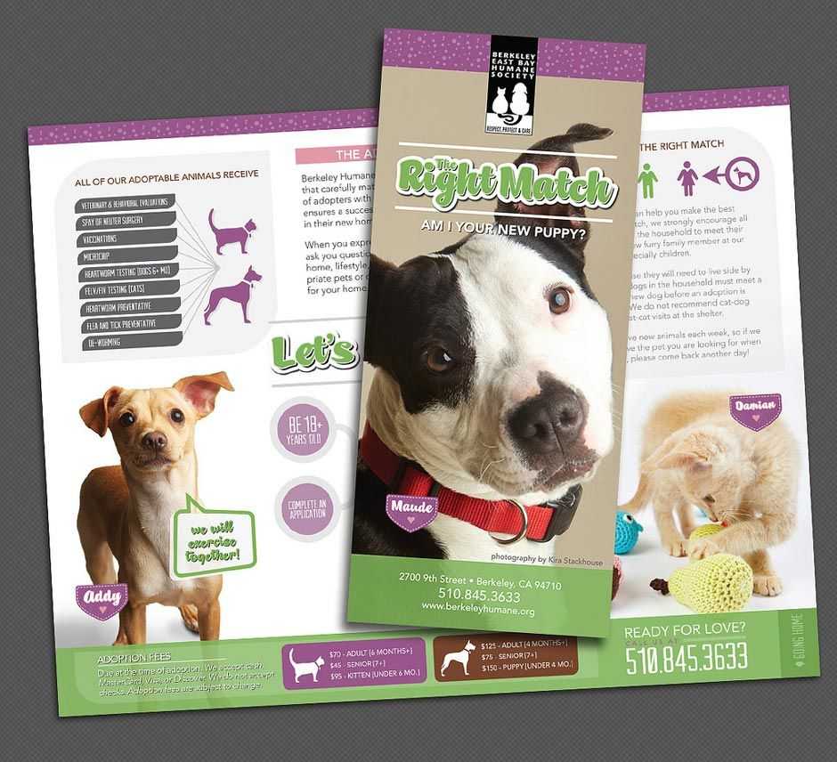 027 Template Ideas Pet Adoption Flyer Fearsome Free Dog Regarding Dog Adoption Flyer Template