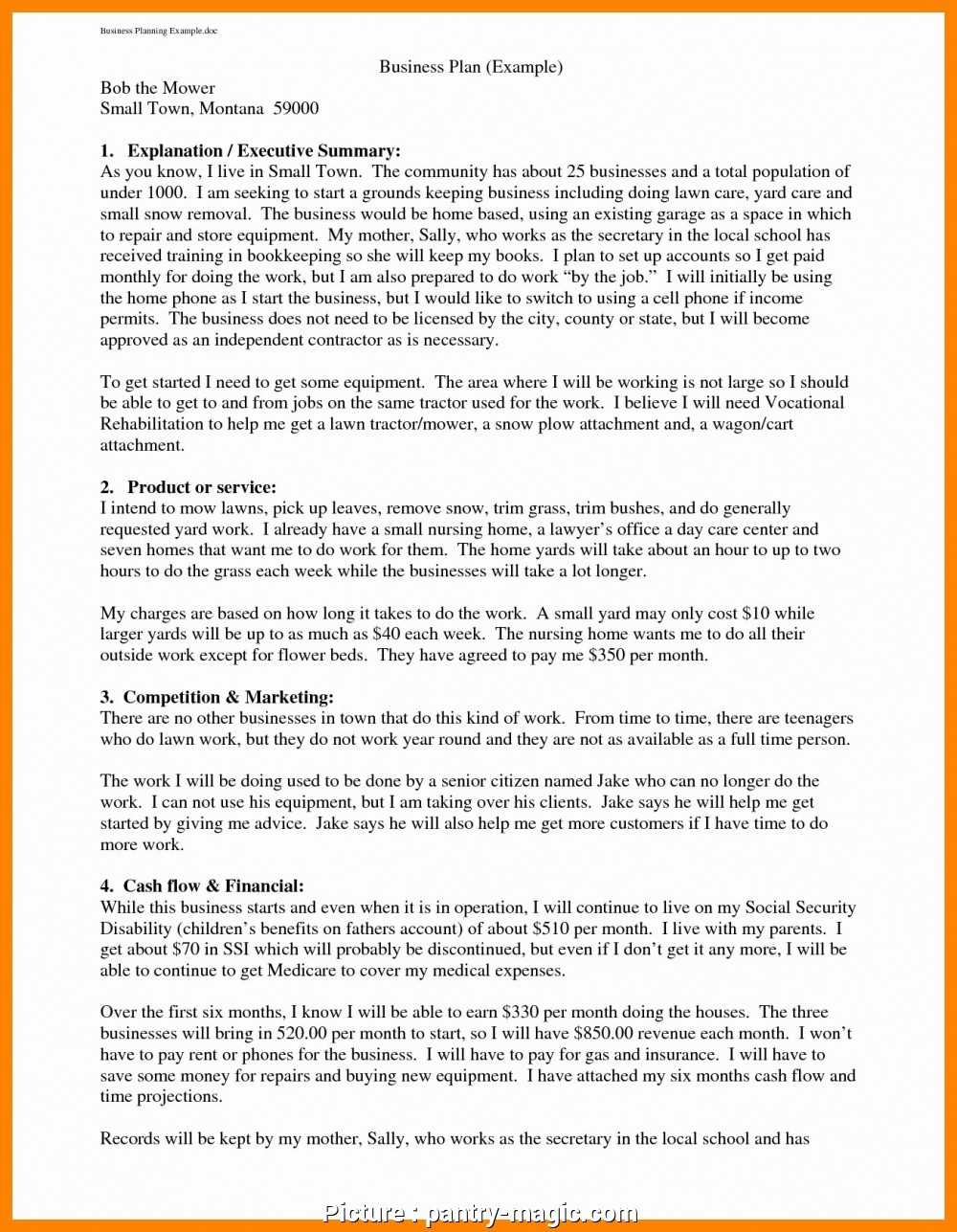 029 Small Business Plan Template Free Download One Page For Daycare Business Plan Template Free Download