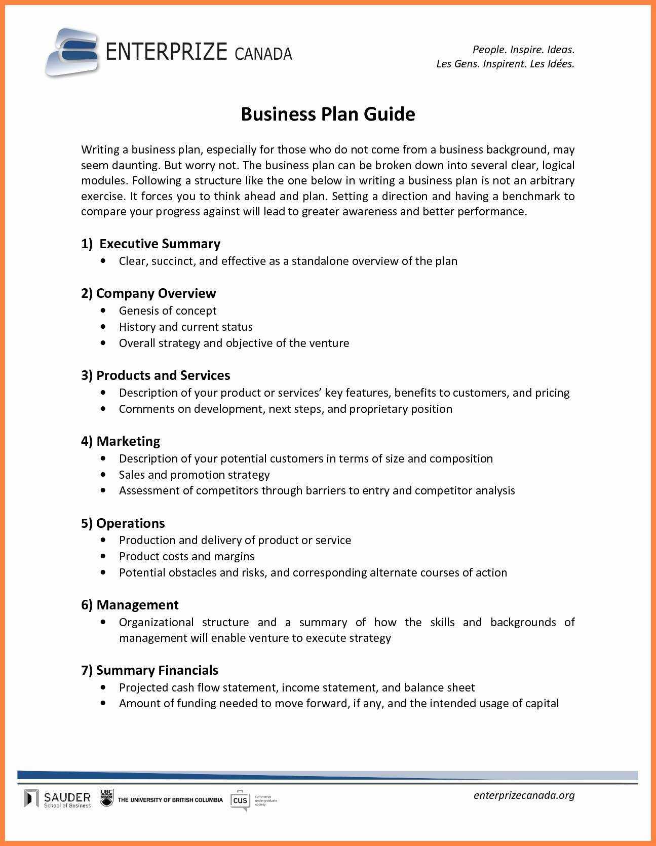 035 Executive Business Plan Template Lovely Ideas Doc For Regarding Consulting Business Plan Template Free