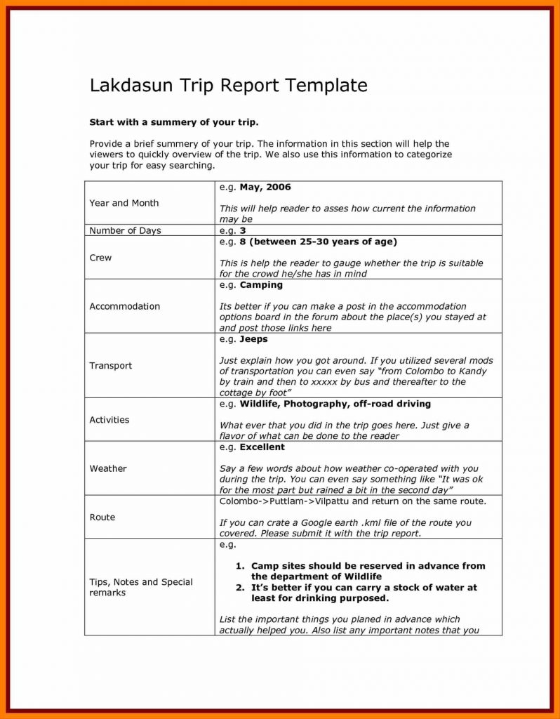 043 Business Report Template Document Development Word Trip Regarding Customer Visit Report Template Free Download