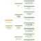40 Organizational Chart Templates (Word, Excel, Powerpoint) For Company Organogram Template Word