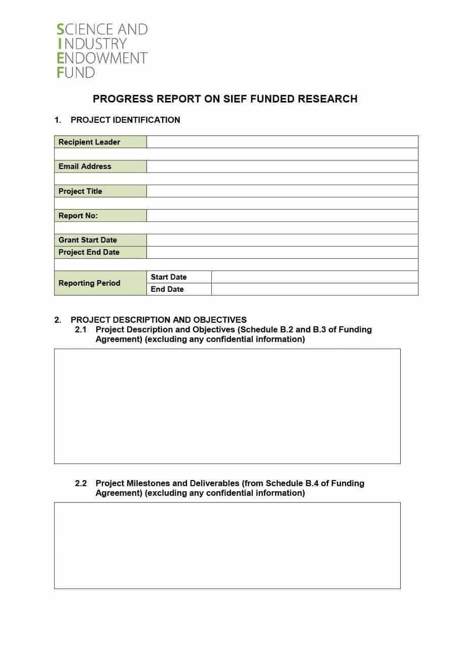 40+ Project Status Report Templates [Word, Excel, Ppt] ᐅ Intended For Funding Report Template