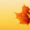 Autumn Ppt Background – Powerpoint Backgrounds For Free For Free Fall Powerpoint Templates