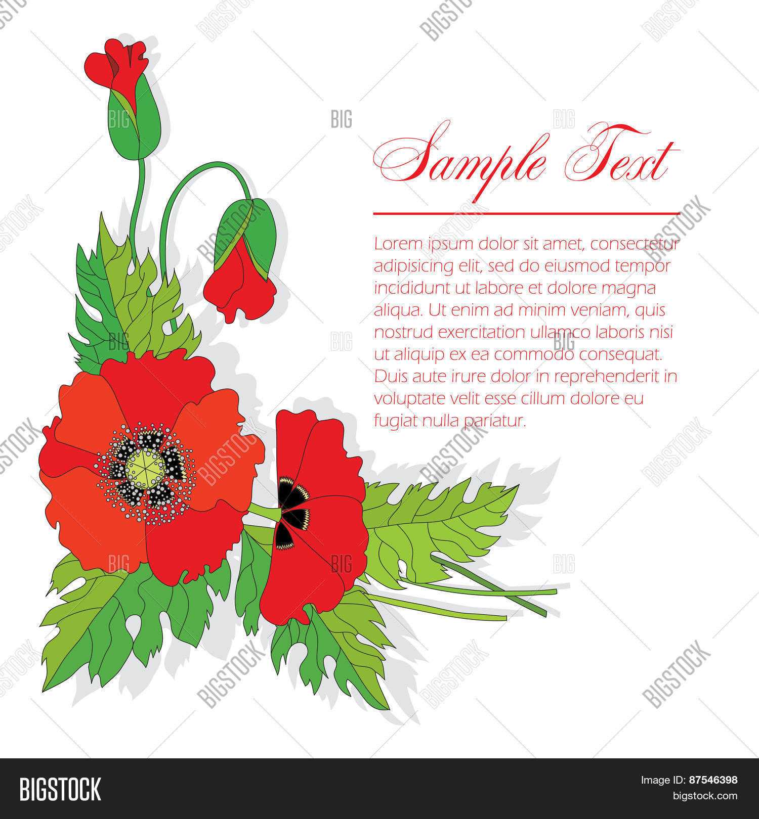 Bouquet Poppies Vector & Photo (Free Trial) | Bigstock Inside Congratulations Banner Template