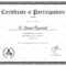 Conference Certificate Of Participation Template - Tunu regarding Conference Participation Certificate Template