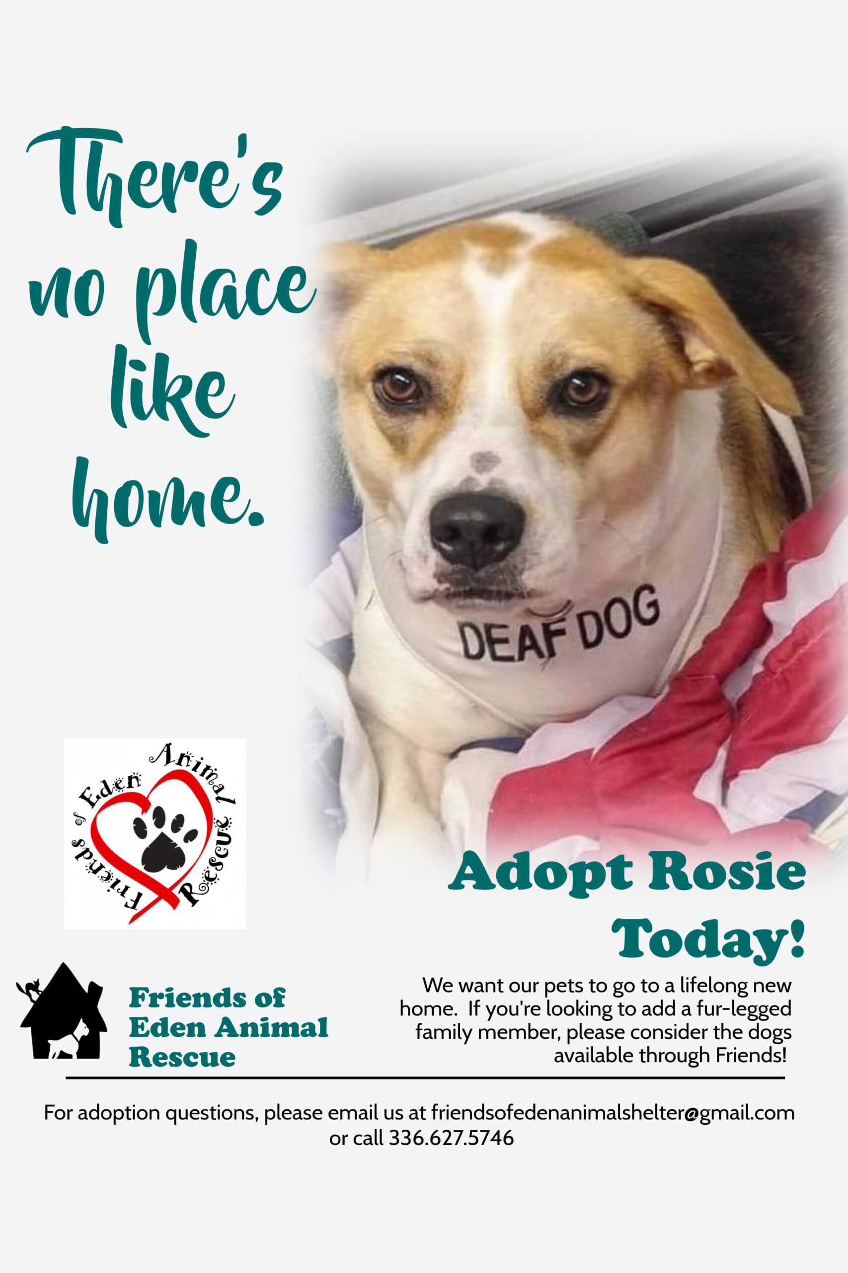 Copy Of Copy Of Copy Of Pet Adoption Awareness Poster Regarding Dog Adoption Flyer Template