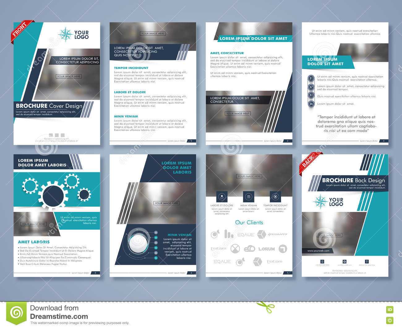 Creative Brochure, Template Or Flyer Layout. Stock Throughout Flyer Template Pages