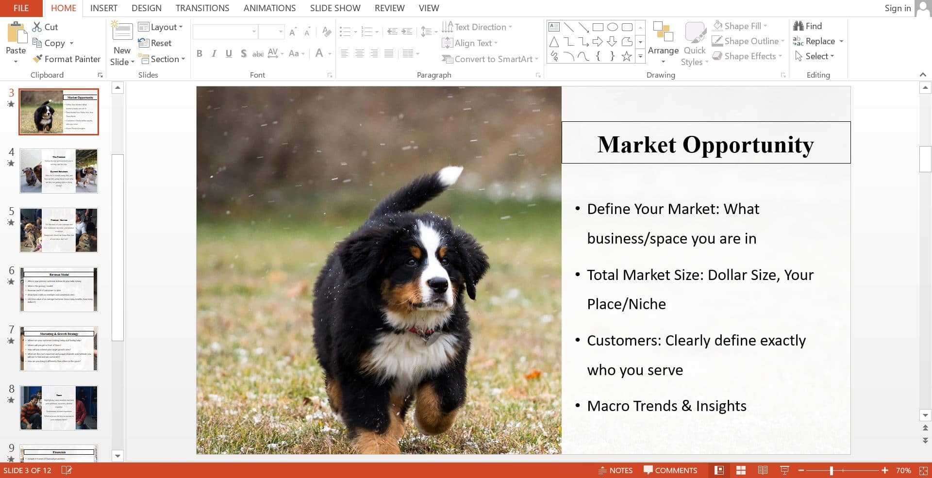 Dog Breeding Business Plan Template - Black Box Business Plans Intended For Dog Breeding Business Plan Template