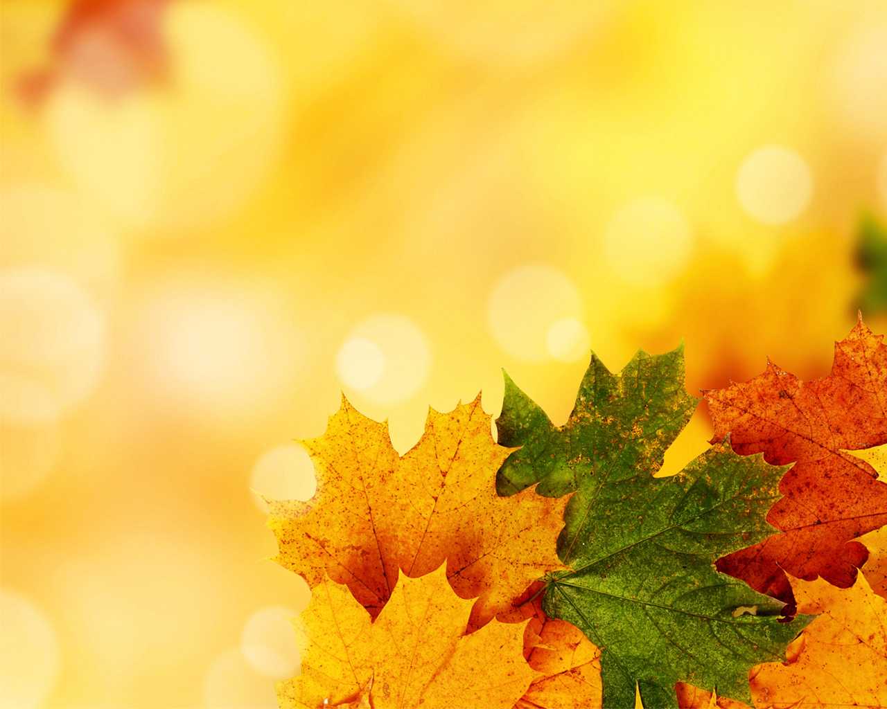 Fall Ppt Background - Colona.rsd7 Throughout Free Fall Powerpoint Templates