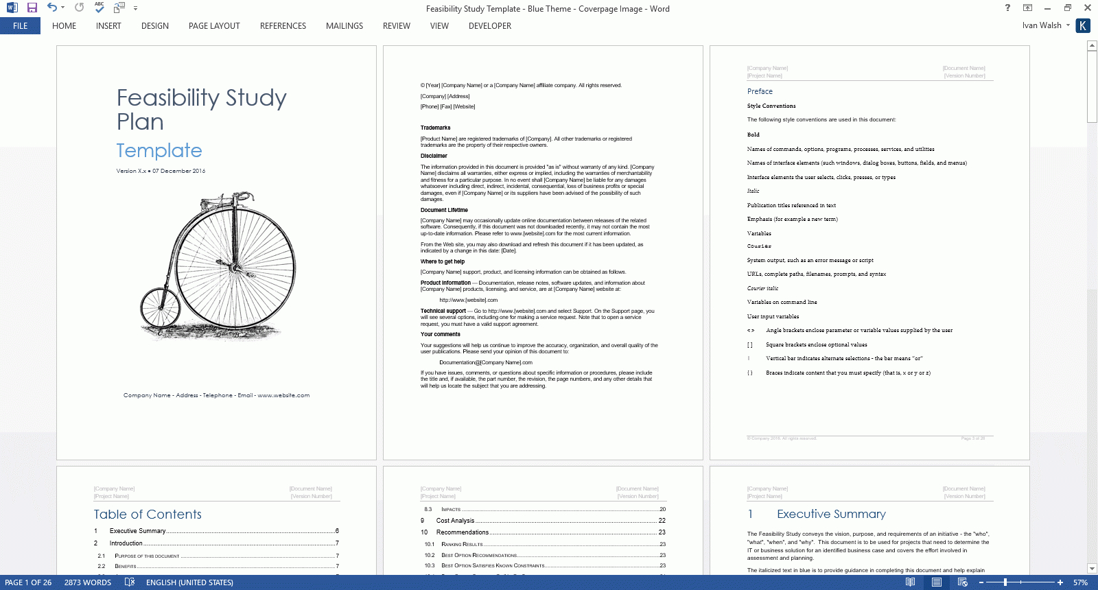 Feasibility Study Template Regarding Feasibility Study Template Small Business