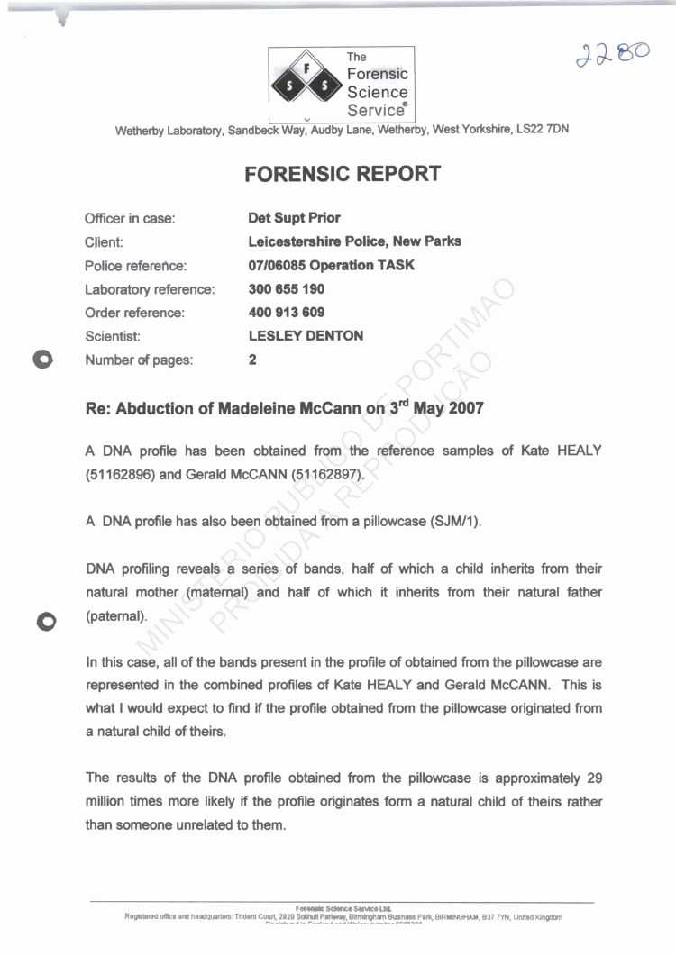 Forensic Report Template – Horizonconsulting.co In Forensic Report Template