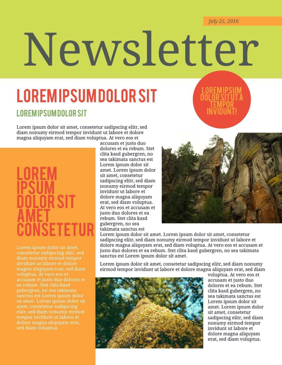 Free Printable Newsletter Templates Examples Lucidpress For