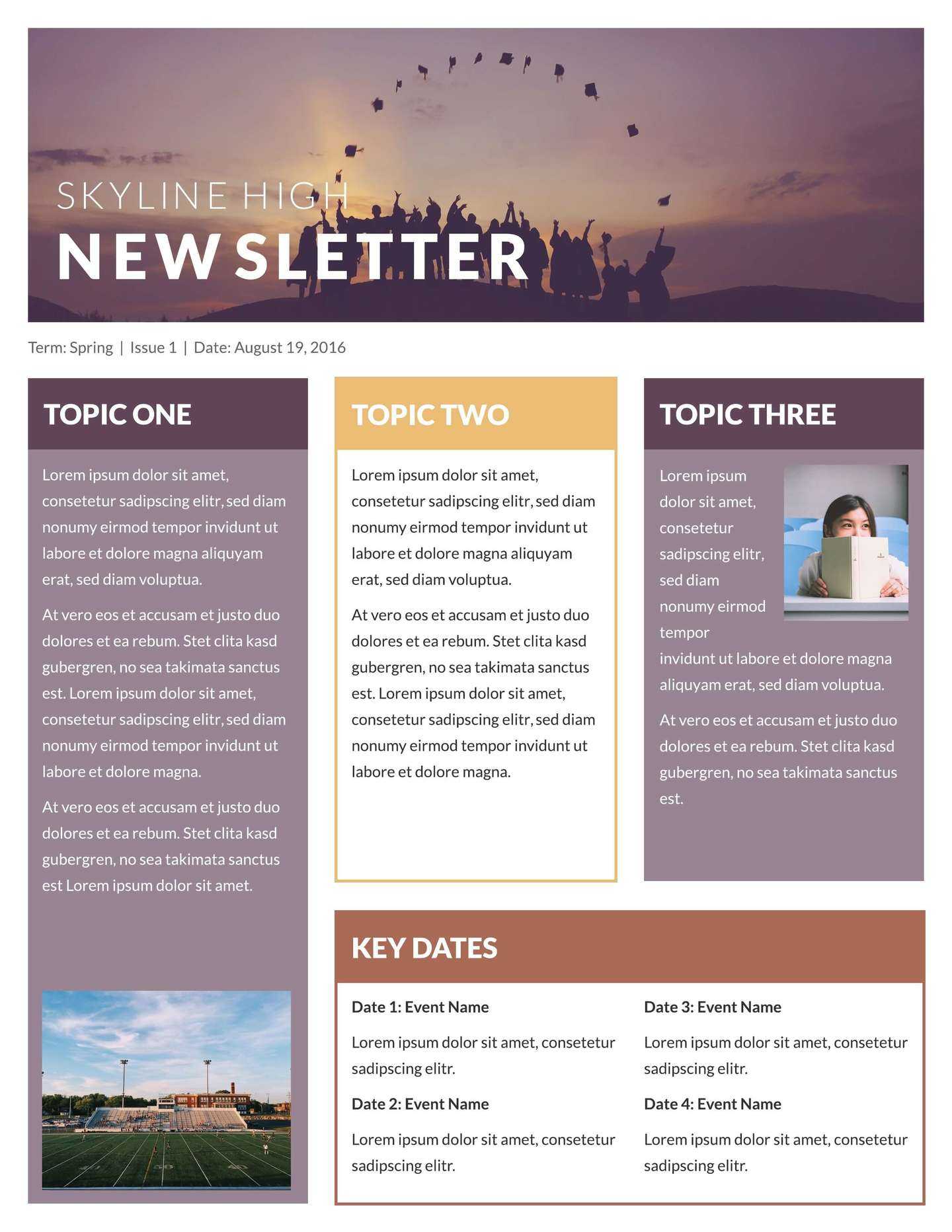 professional newsletter examples