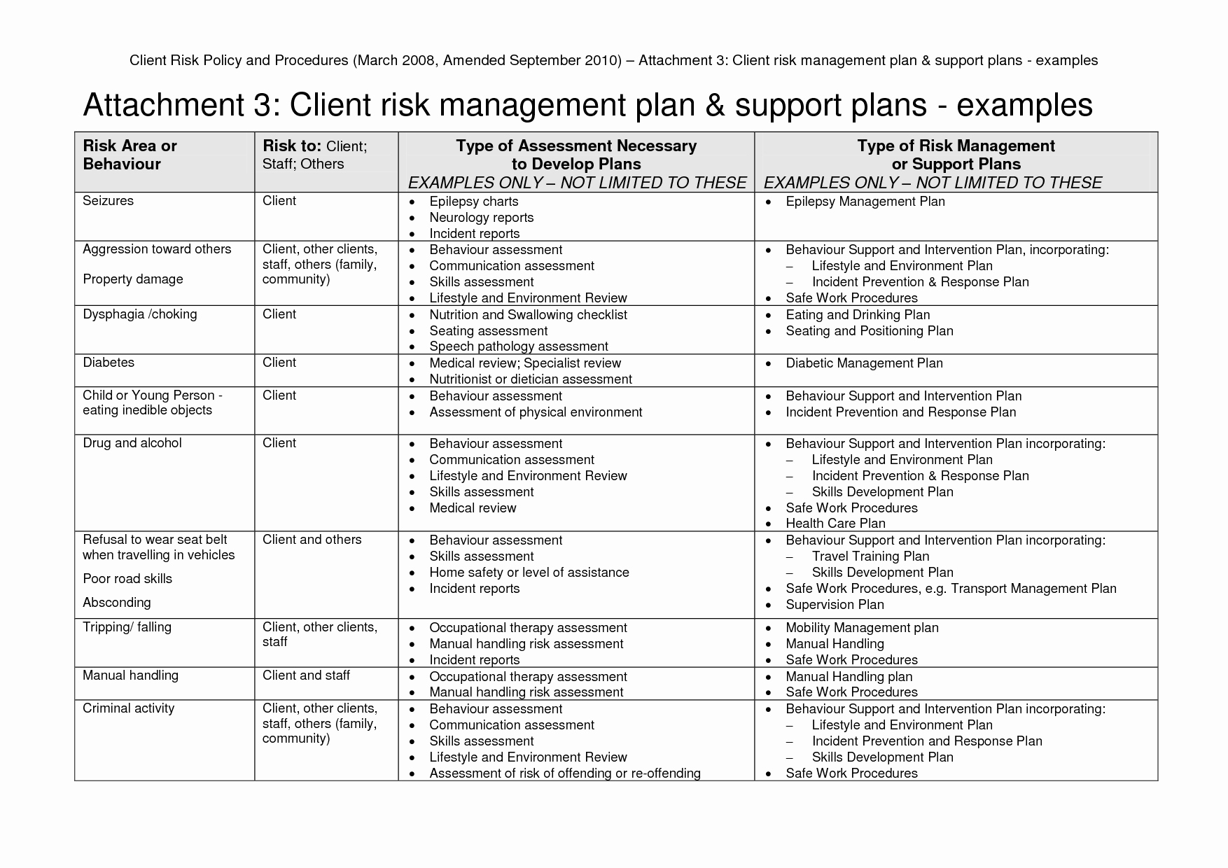 Management Plans Risk Plan Example Project Sample Pdf For With Enterprise Risk Management Report Template