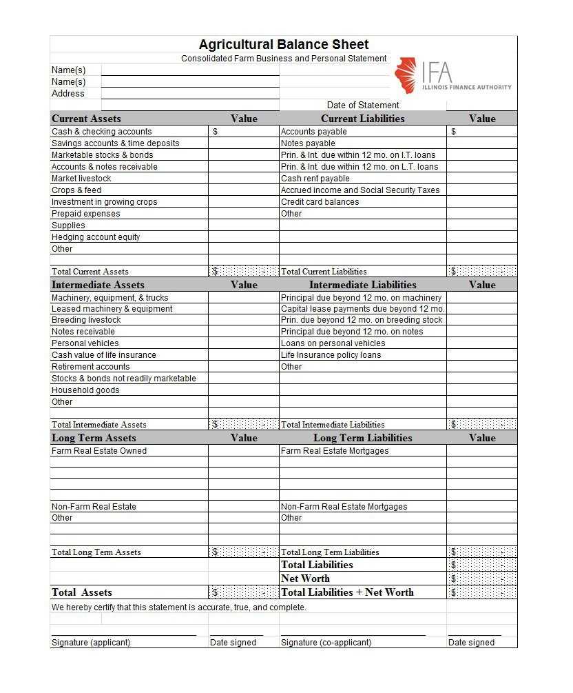 Personal Financial Statement Template Sba Suntrust Form Pdf For Credit Card Statement Template Excel
