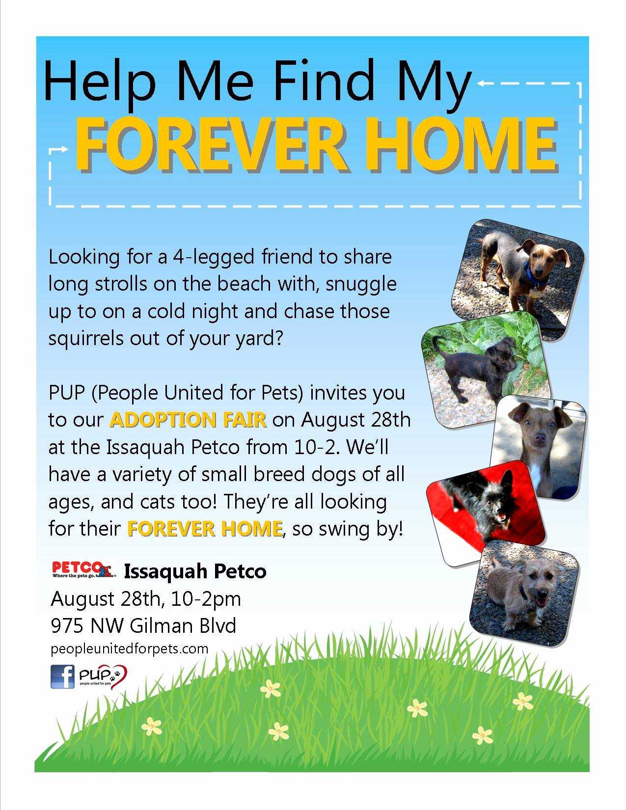 Pet Adoption Flyer Template Throughout Dog Adoption Flyer Template