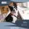 Pet Grooming Flyer Template In Dog Grooming Flyers Template