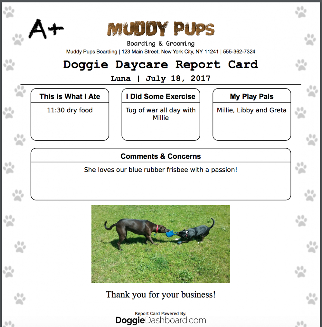 Report Examples Dog Walking Card Template Doggiedashboard Inside Dog Grooming Record Card Template