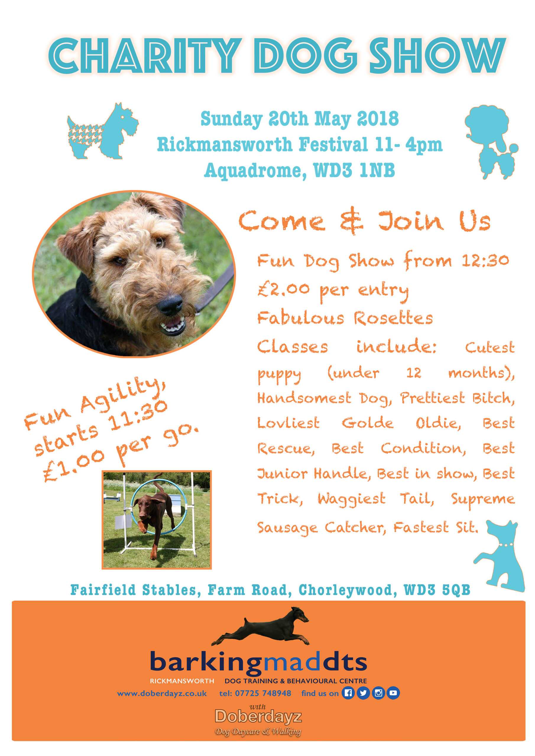 Ricky Festival Poster Flyer Template – Dog Training Within Dog Walking Flyer Template
