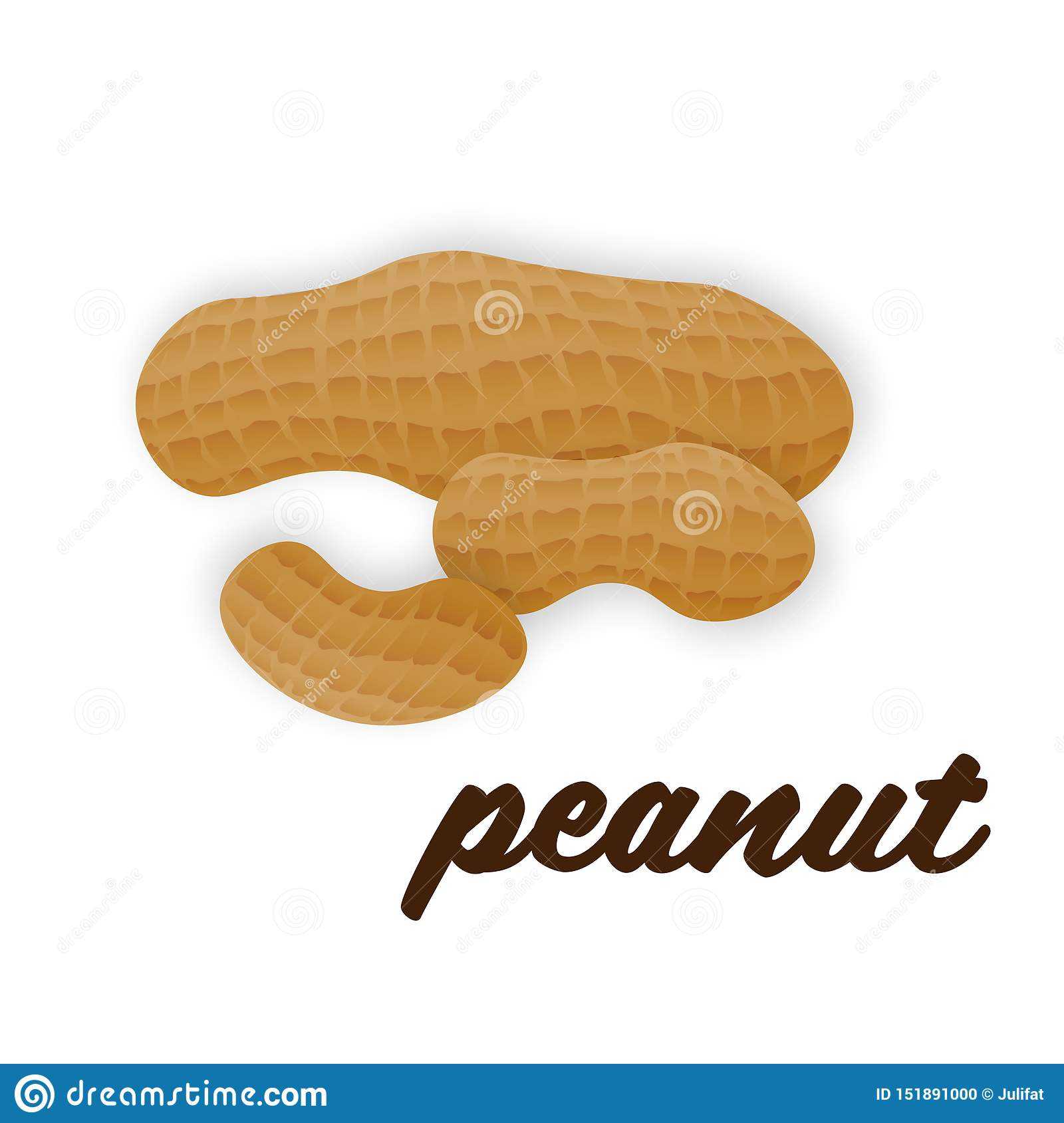 Vector Peanuts In Realistic Style On White Background For Within Dog Treat Label Template