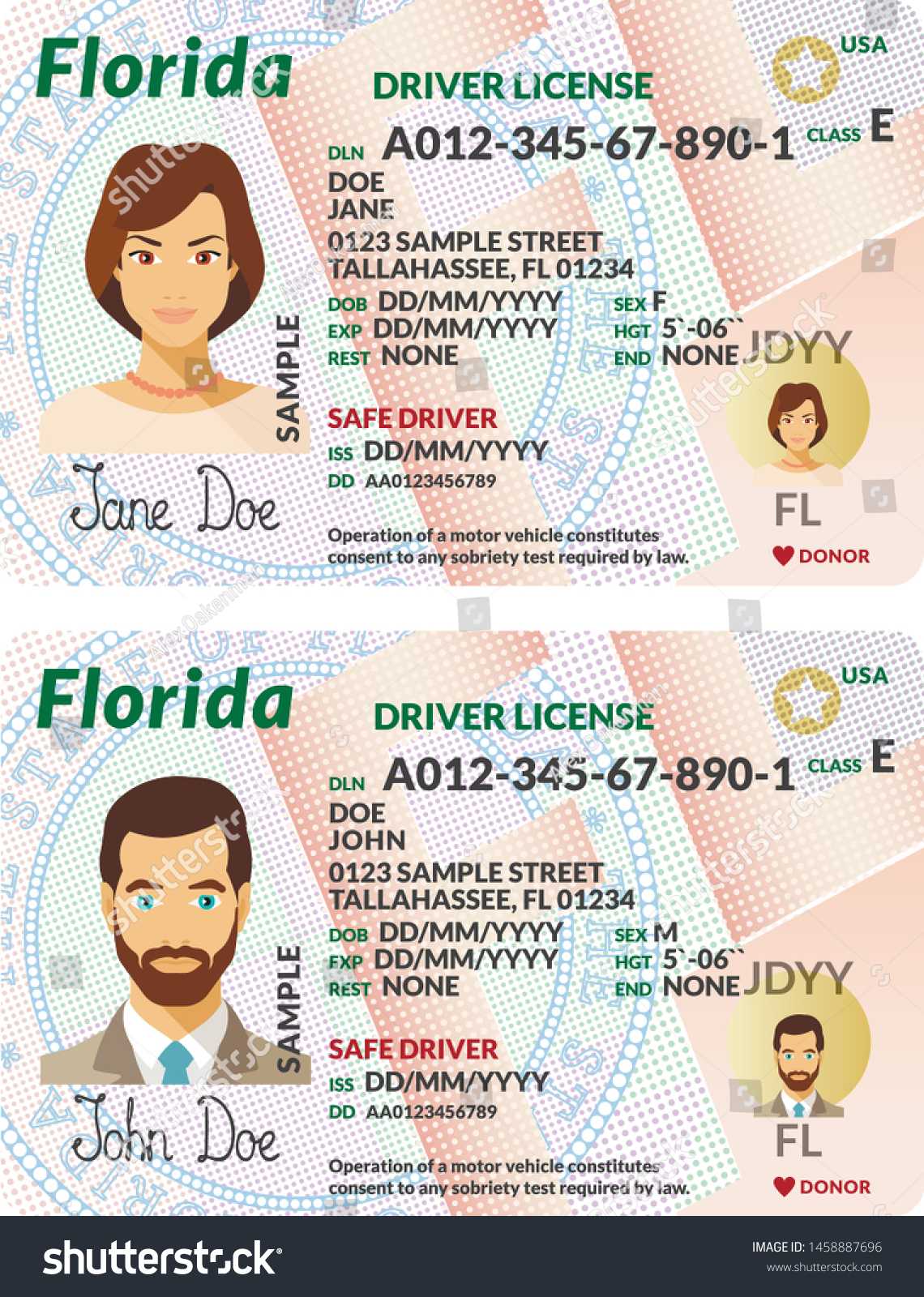 Vector Template Sample Driver License Plastic Stock Vector Intended For Florida Id Card Template